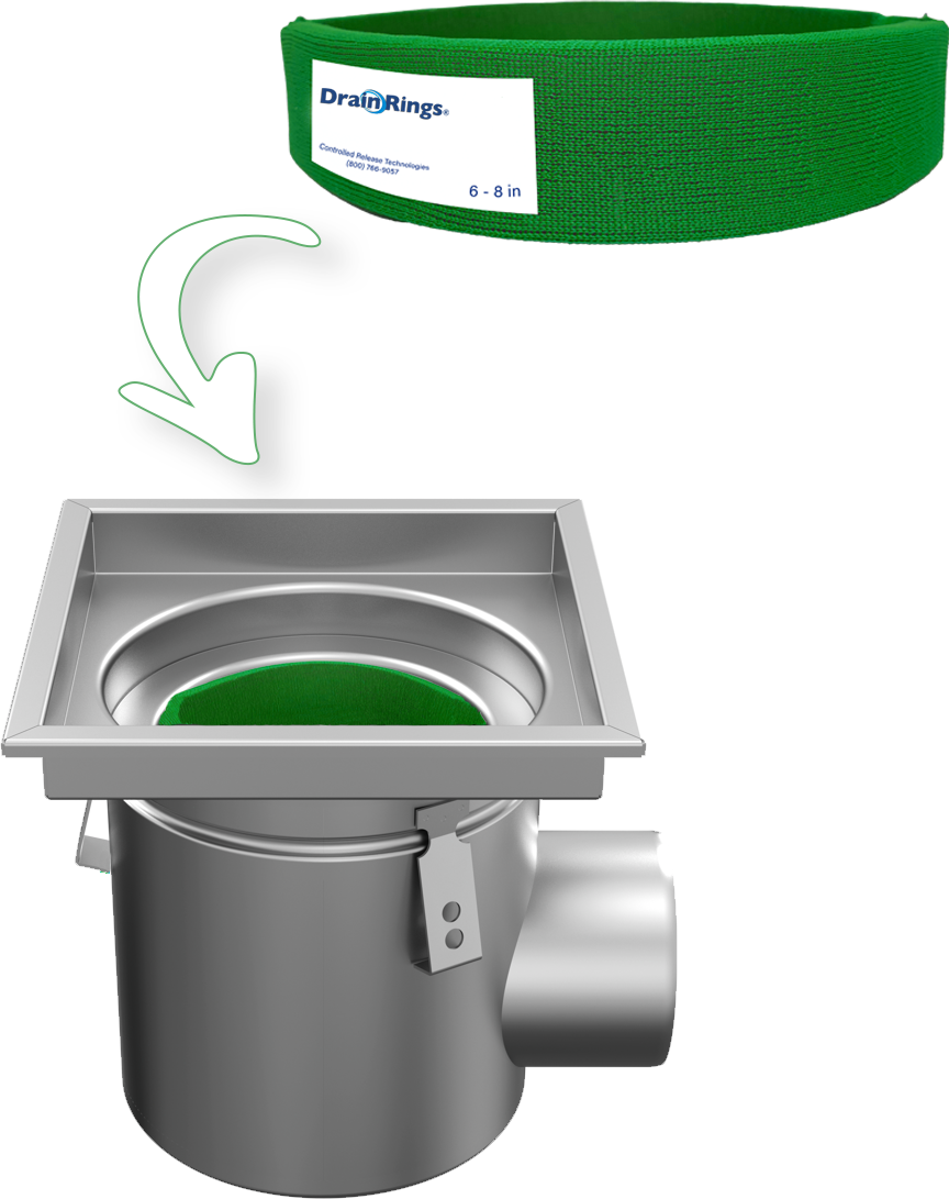 Drain Rings
